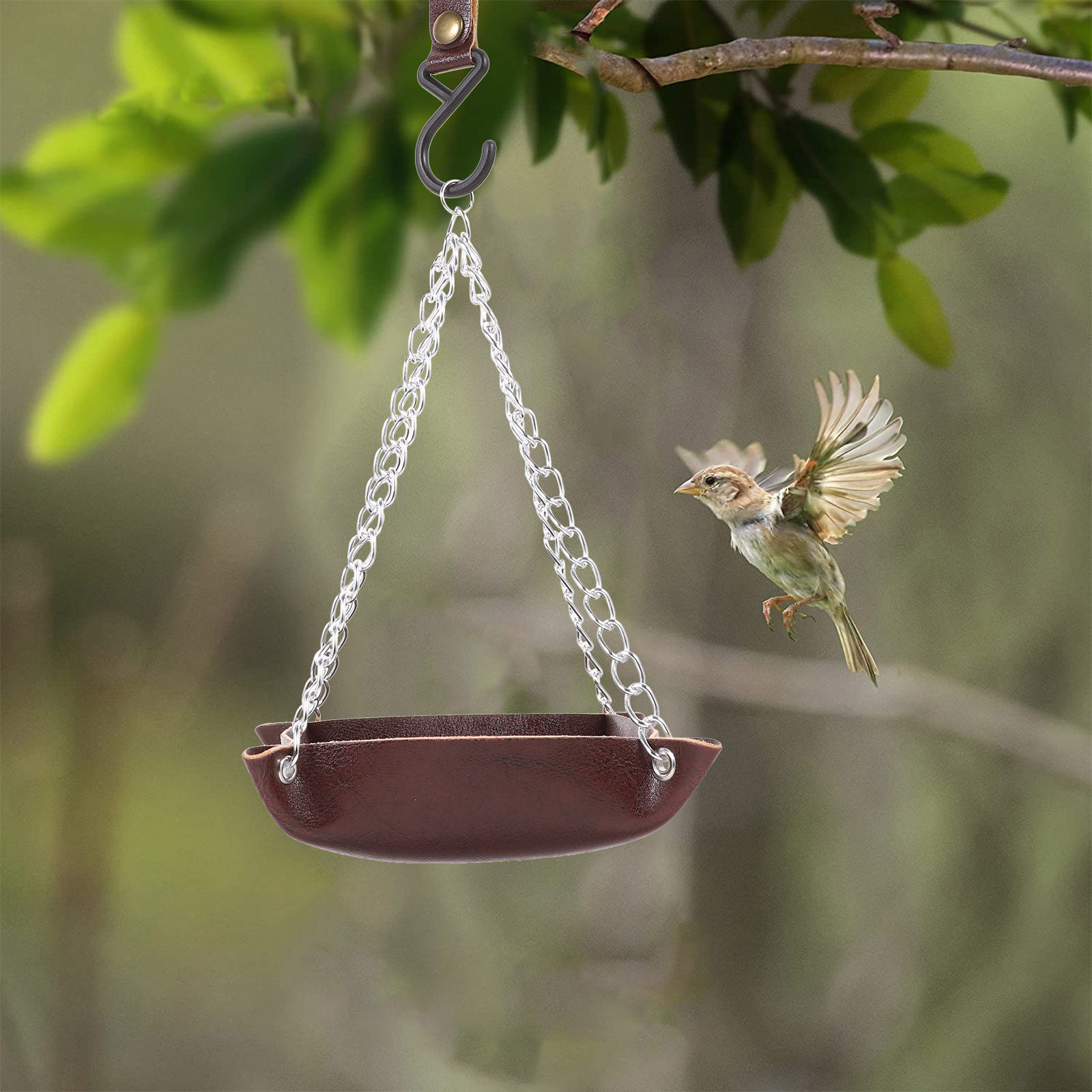 Transparenter, langlebiger Vog – Feeding Bewertung und Preis