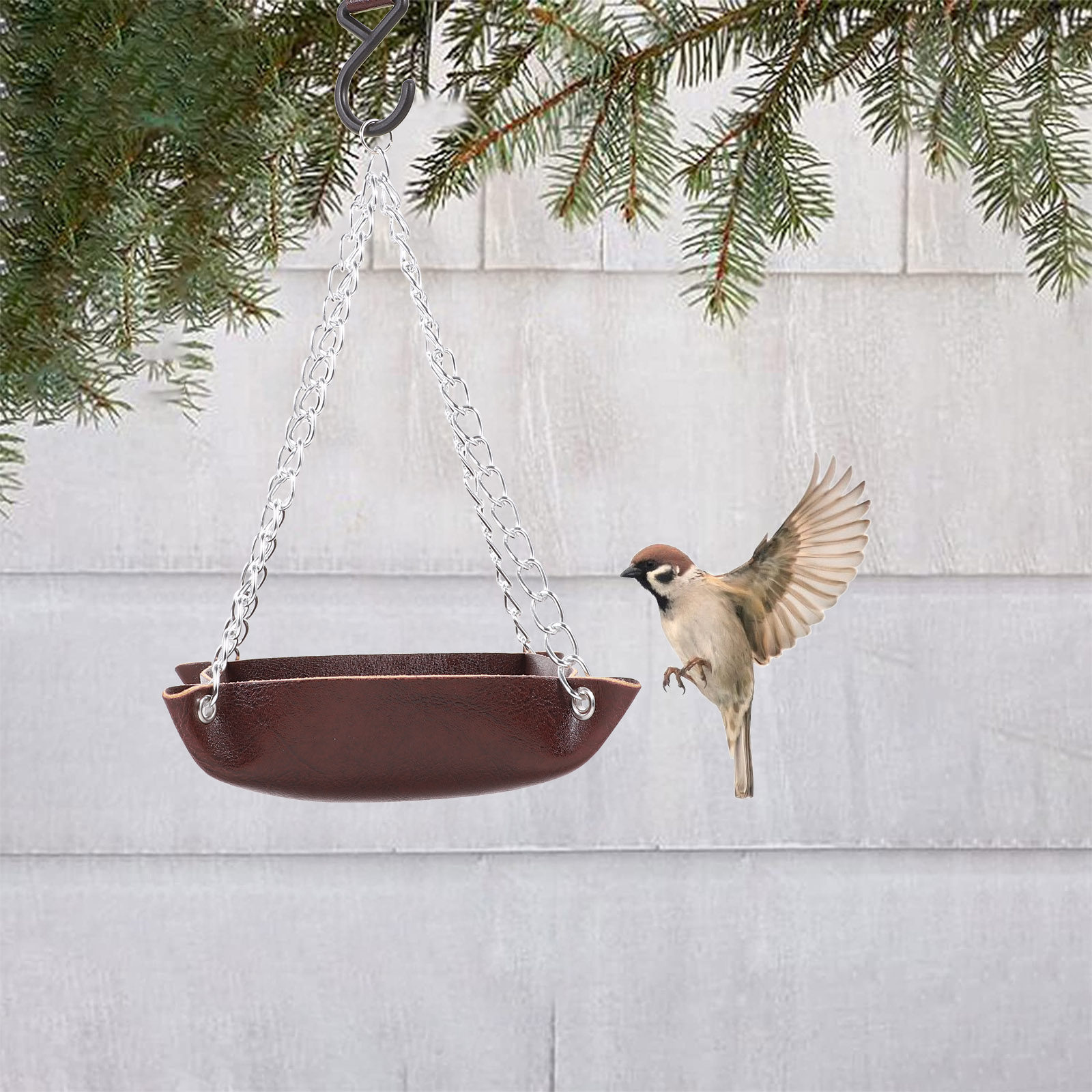 Transparenter, langlebiger Vog – Feeding Bewertung und Preis